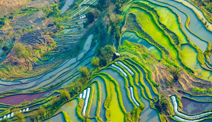 走进蒙城县TVC拍摄：解锁本地化场景与创意镜头的完美融合